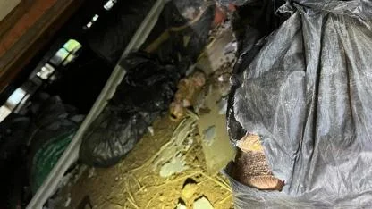 Gömeç’te mahsur kalan yavru köpek kurtarıldı