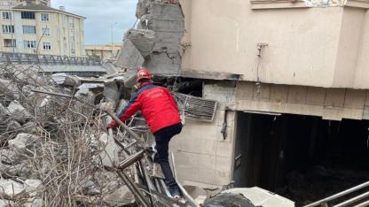 Balıkesir'de yavru kediler için seferberlik başlatıldı