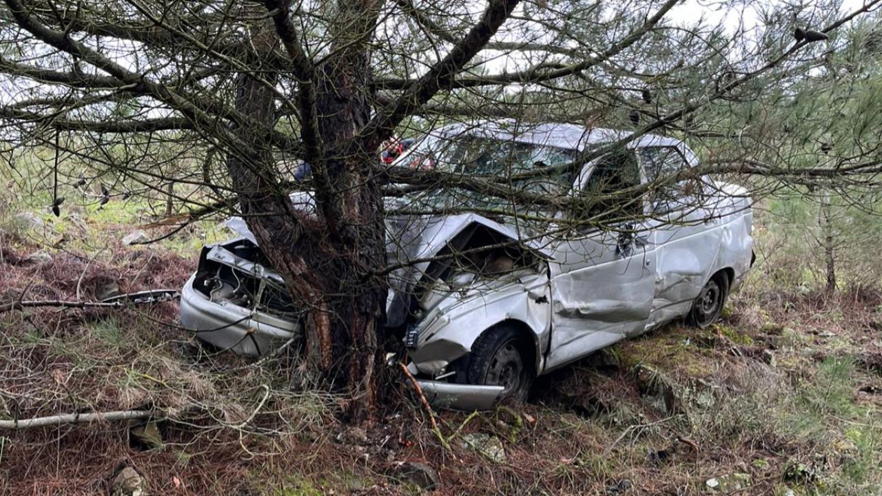 Tarlaya giren otomobil çam ağacına çarptı: Sürücü ortada yok