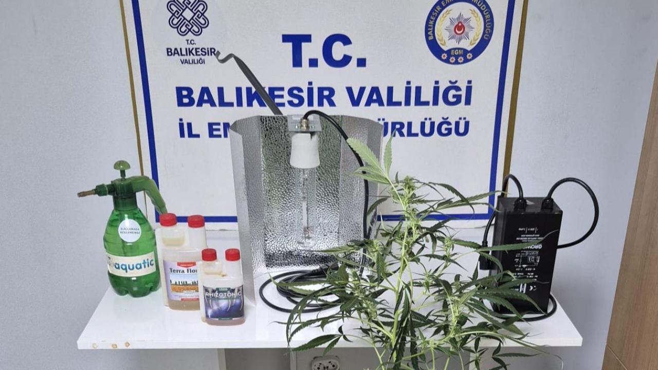 Ayvalık Polisinden Kaçak İçki Ve Uyuşturucu Operasyonu