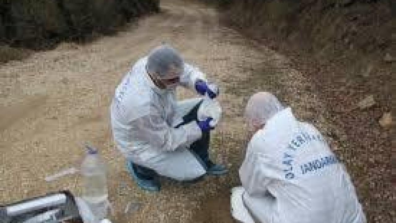 Balıkesir'de Jandarmadan Suçla Mücadelede Kararlı Adımlar