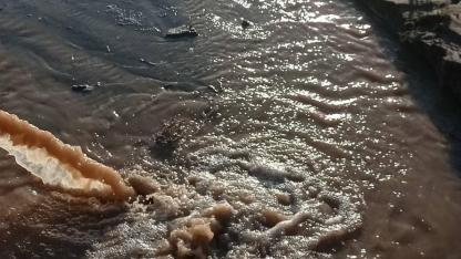 Burhaniye’de denize akan pis sular tepkiye neden oldu