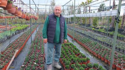 Burhaniye’de emekli bankacı 500 çeşit bitki yetiştirdi