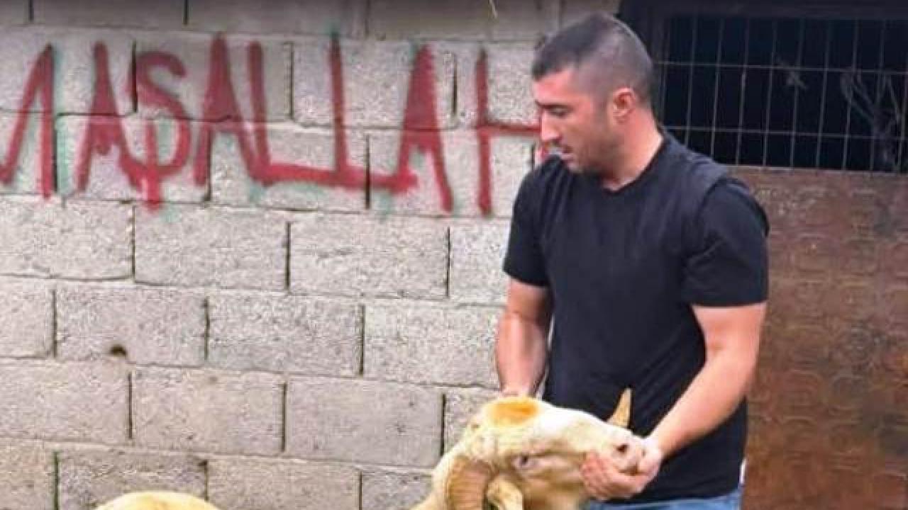 Burhaniye’de kurbanlıklar satışa çıktı