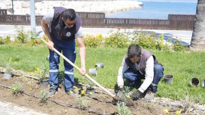 Burhaniye'de yeşil alan ve parklarda kapsamlı çalışmalar sürüyor
