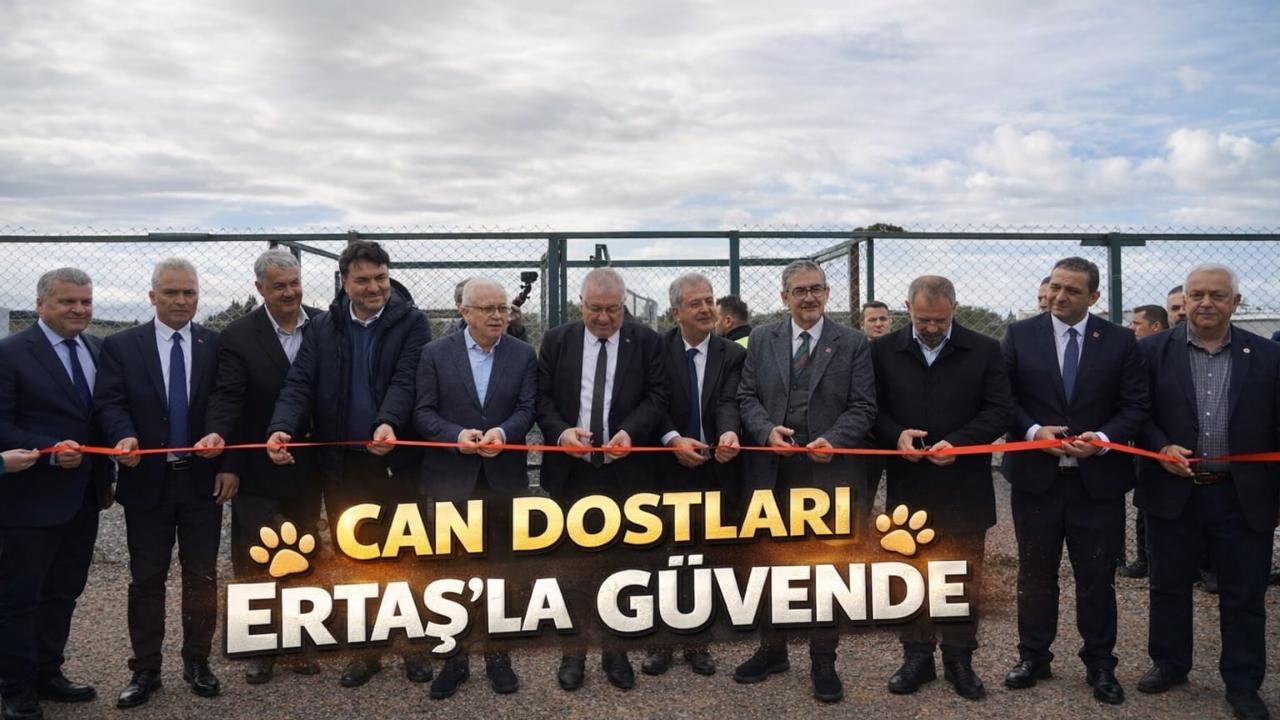 Edremit’te Can Dostlar doğal yaşam alanına kavuştu