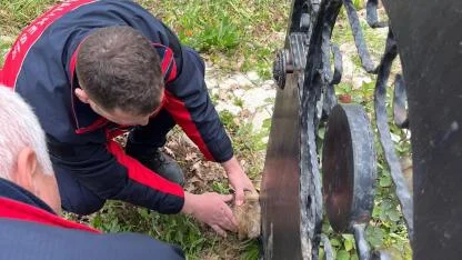 Kafası kapıya sıkışan köpek kurtarıldı