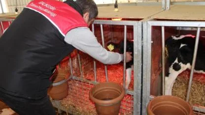 KKYDP Desteğiyle Balıkesir’de Hayvancılıkta Dijital Dönüşüm