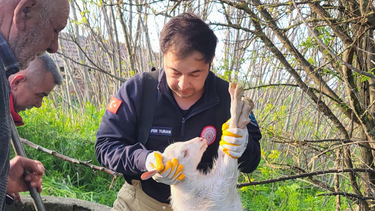 Manyas’ta kuyuya düşen oğlağı itfaiye kurtardı
