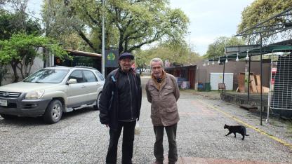 Tarihi meşeler Ören'e güzellik kattı