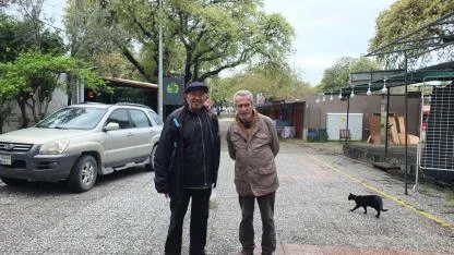 Tarihi meşeler Ören'e güzellik kattı