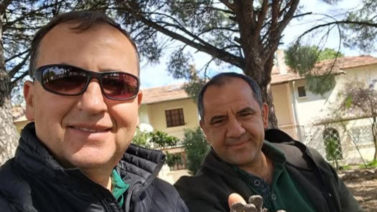 Türkiye çam balı üretiminde dünya birincisi