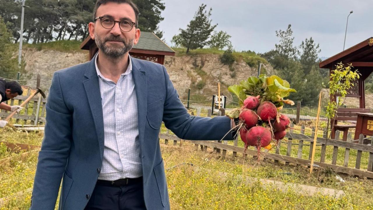 Burhaniye’de Fakülte Bahçesinde Yetişen Sebzeler Hasat Edildi