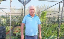 Burhaniye'de emekli bankacı 500 çeşit bitki yetiştirdi