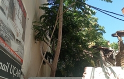 Edremit’te polisten kaçan şüpheli ağacın üzerinde kıstırıldı