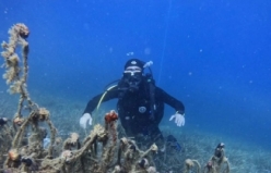 Edremit Körfezi'nde hayalet ağlar temizleniyor   Gömeç'te yaralanmalara neden olan deniz motoru denizden çıkartıldı
