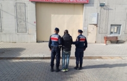 Jandarmadan aranan hırsıza tarlada şafak operasyonu EDREMİT