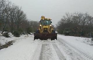 Belediye ekipleri karla mücadele ediyor