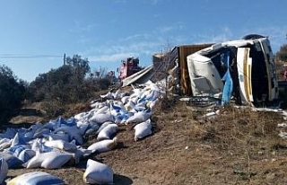 Çanakkale’de yem yüklü kamyon devrildi: 1 yaralı