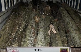 Balıkesir’de ormancı operasyonu: 23 gözaltı