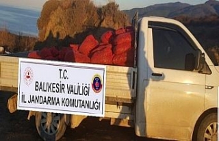 Bandırma’da bin 600 kilo kaçak midye yakalandı