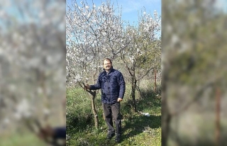 İzmir’de badem ağacı çiçek açtı