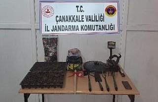 Çanakkale’de yasa dışı kenevir ekimine operasyon