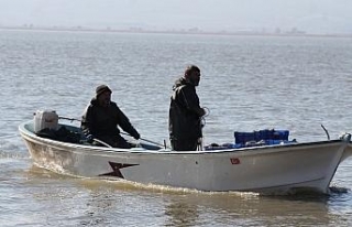 Manyas gölünde av yasağı başlıyor