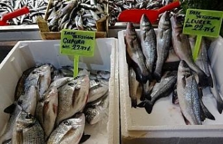 Vatandaş ucuz balık yesin diye fiyatları yarı...