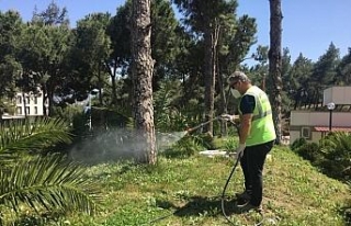 Burhaniye’de parklar dezenfekte edildi