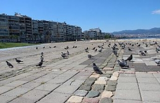 İzmir, kısıtlamanın ilk gününde boş kaldı