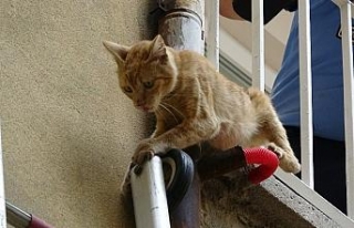Bursa’da nefes kesen kedi kurtarma operasyonu
