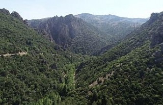 Bursa’nın tabiat harikası kanyonuna SİT düzenlemesi