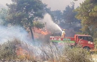 Gelibolu’da poyraz yangın söndürme işini zorlaştırıyor