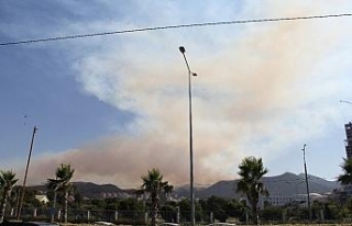 İzmir Balçova’daki orman yangını devam ediyor