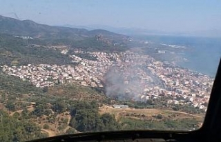 İzmir’de bir orman yangını daha