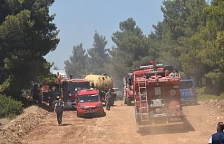İzmir’de korkutan orman yangını