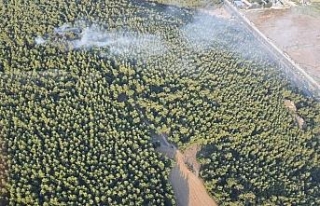 İzmir’de korkutan orman yangını kontrol altında