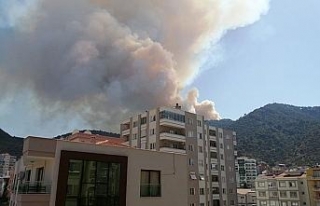 İzmir’in Balçova ilçesinde orman yangını çıktı....