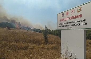 Bursa’daki çiftlik yangını Adalet Ormanı’na...