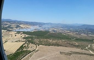 Çanakkale Özbek köyünde orman yangını
