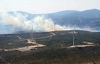 İzmir Seferihisar’da çıkan orman yangını kısmen...