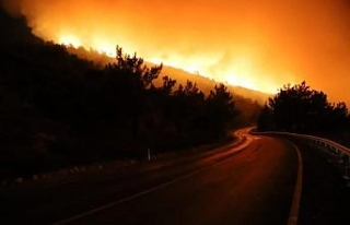 İzmir’deki yangın büyüyor: Siteler boşaltıldı