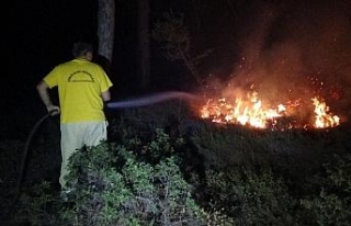 Ayvalık’taki orman yangını kontrol altına alındı