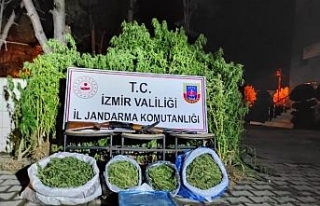 İzmir’de jandarmadan uyuşturucu baskınları:...