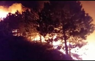 İzmir’de ormanlık alanda çıkan yangın kontrol...