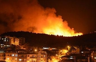 İzmir’deki otluk yangını ile ilgili bir gözaltı