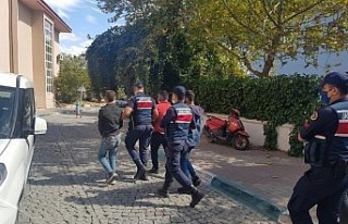 Bergama’daki orman yangının failleri tutuklandı