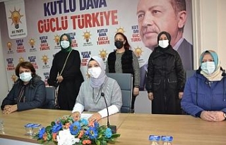 AK Partili Kadınlardan yönelik şiddete yönelik...