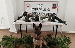 İzmir’de uyuşturucu operasyonu: 21 şüpheli gözaltında